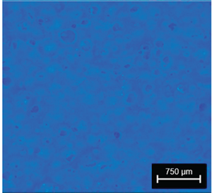 Preprints 177719 i004