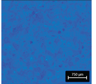 Preprints 177719 i007