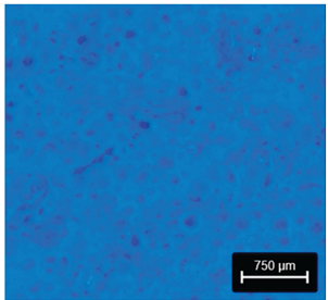 Preprints 177719 i008