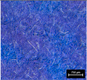 Preprints 177719 i010