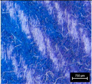 Preprints 177719 i011