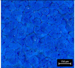 Preprints 177719 i012