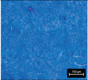 Preprints 177719 i013