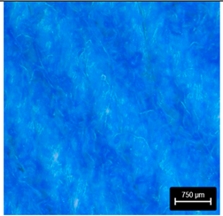 Preprints 177719 i014