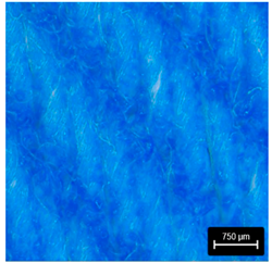 Preprints 177719 i015