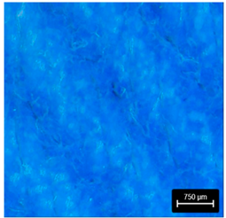 Preprints 177719 i016