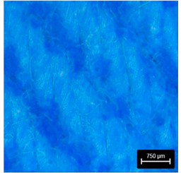 Preprints 177719 i017