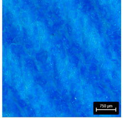 Preprints 177719 i018