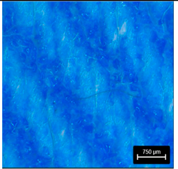 Preprints 177719 i019