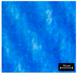 Preprints 177719 i020