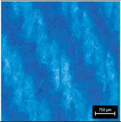 Preprints 177719 i021