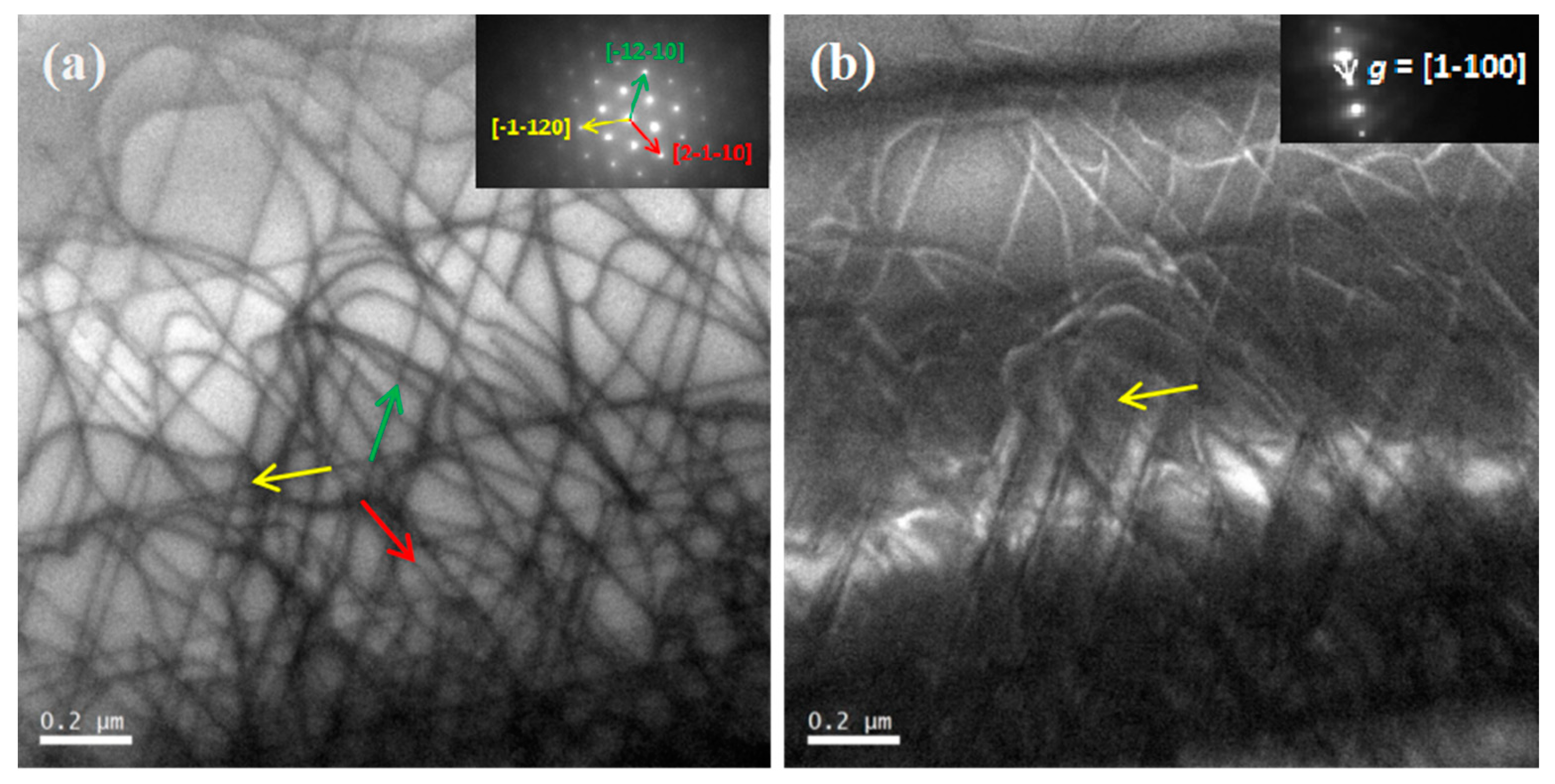 Preprints 74567 g001
