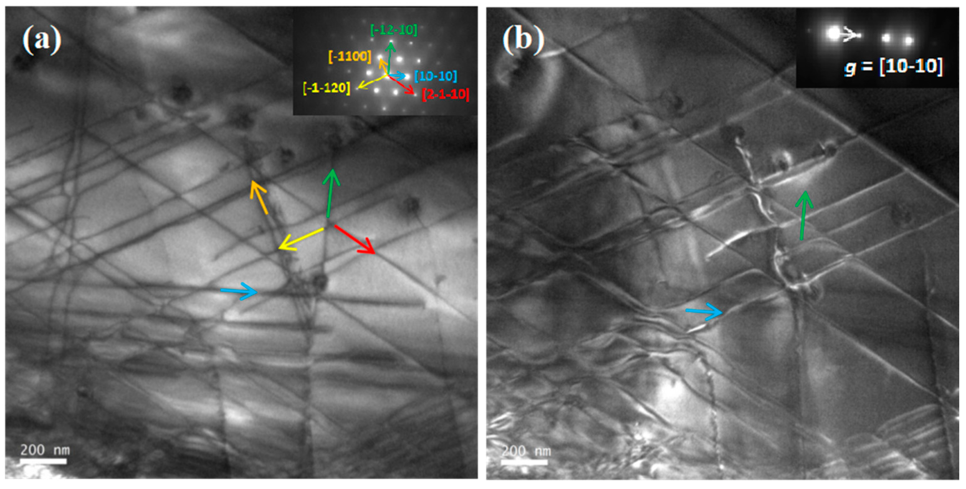 Preprints 74567 g002
