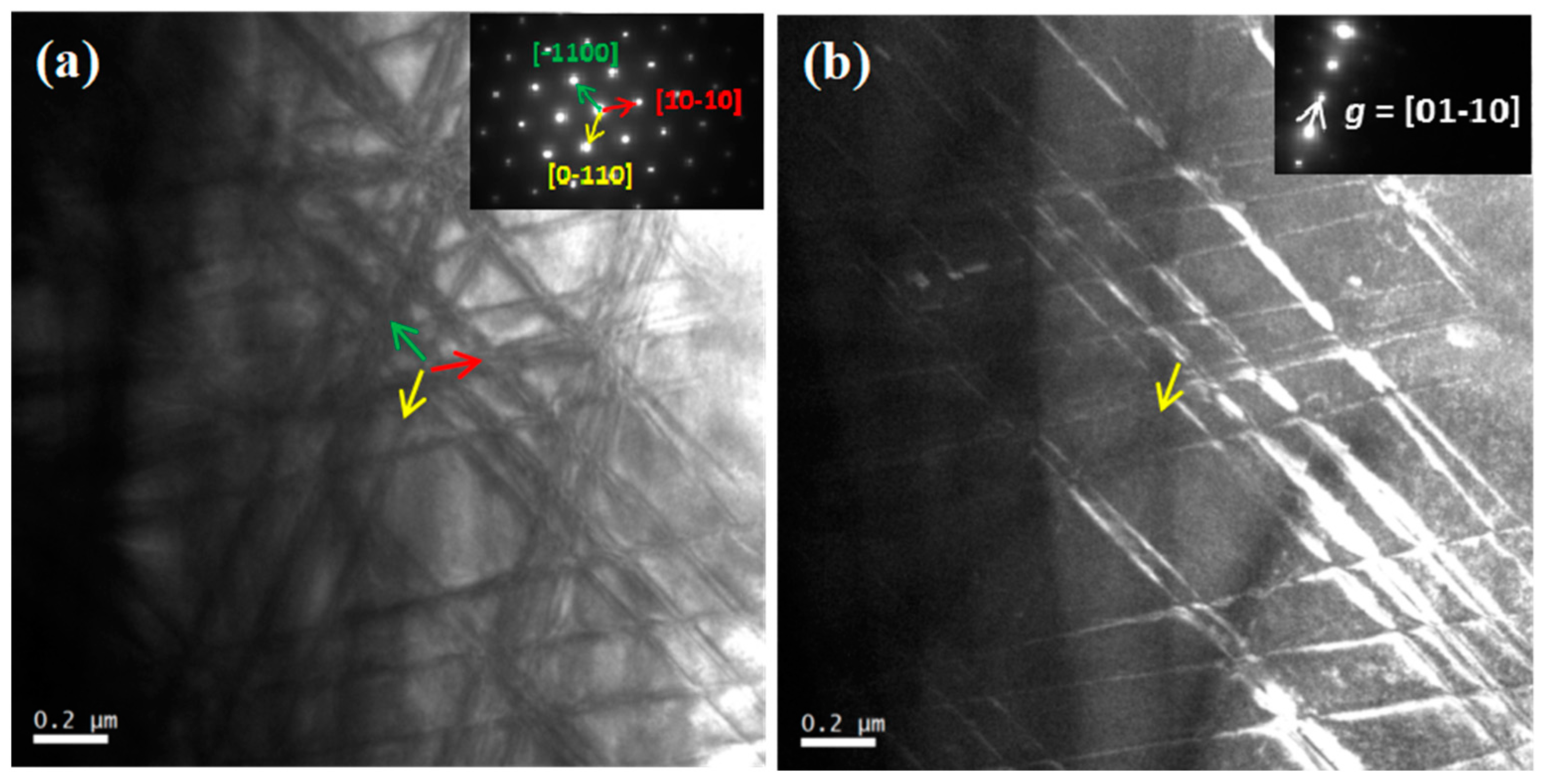 Preprints 74567 g003