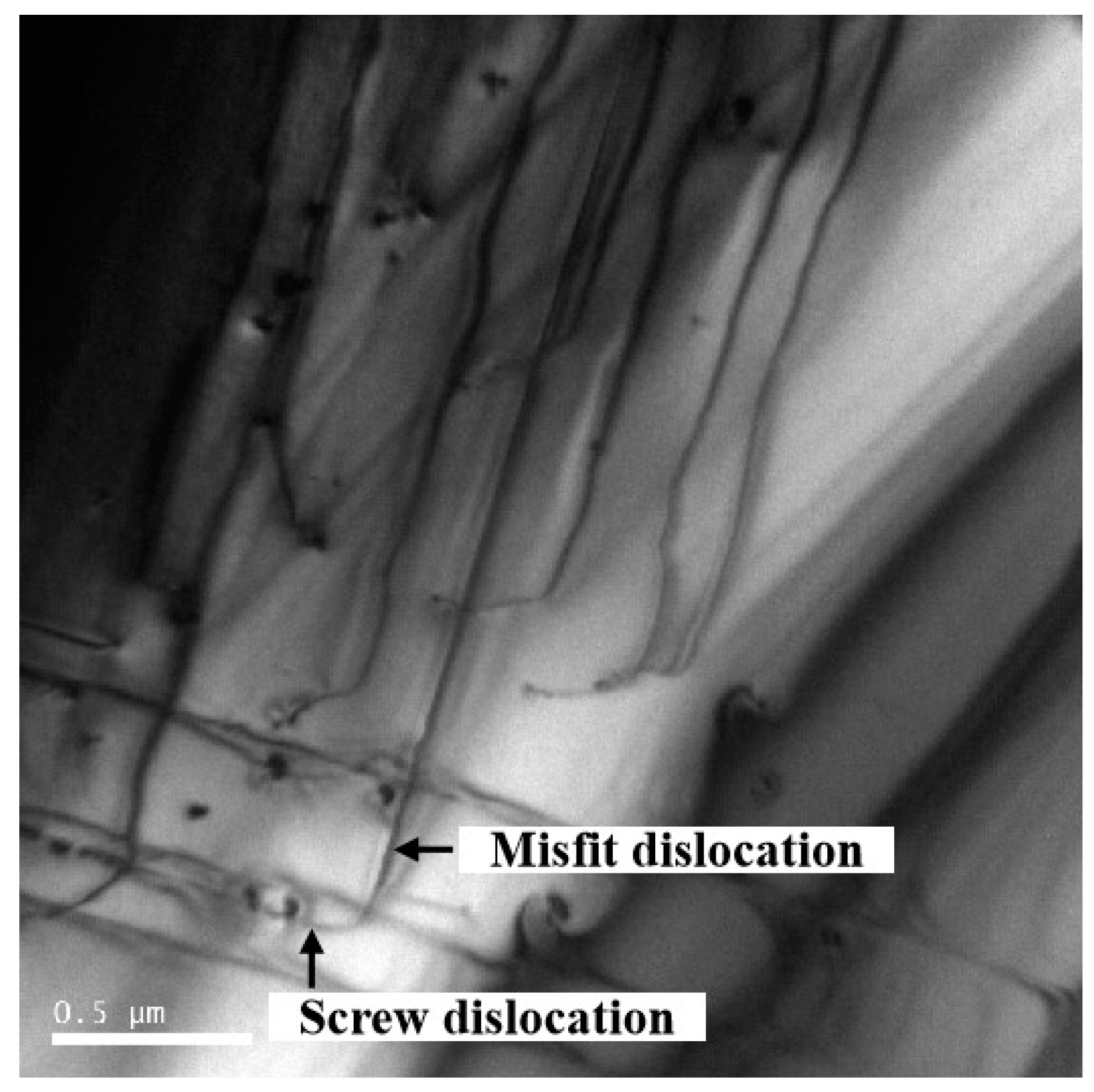 Preprints 74567 g004