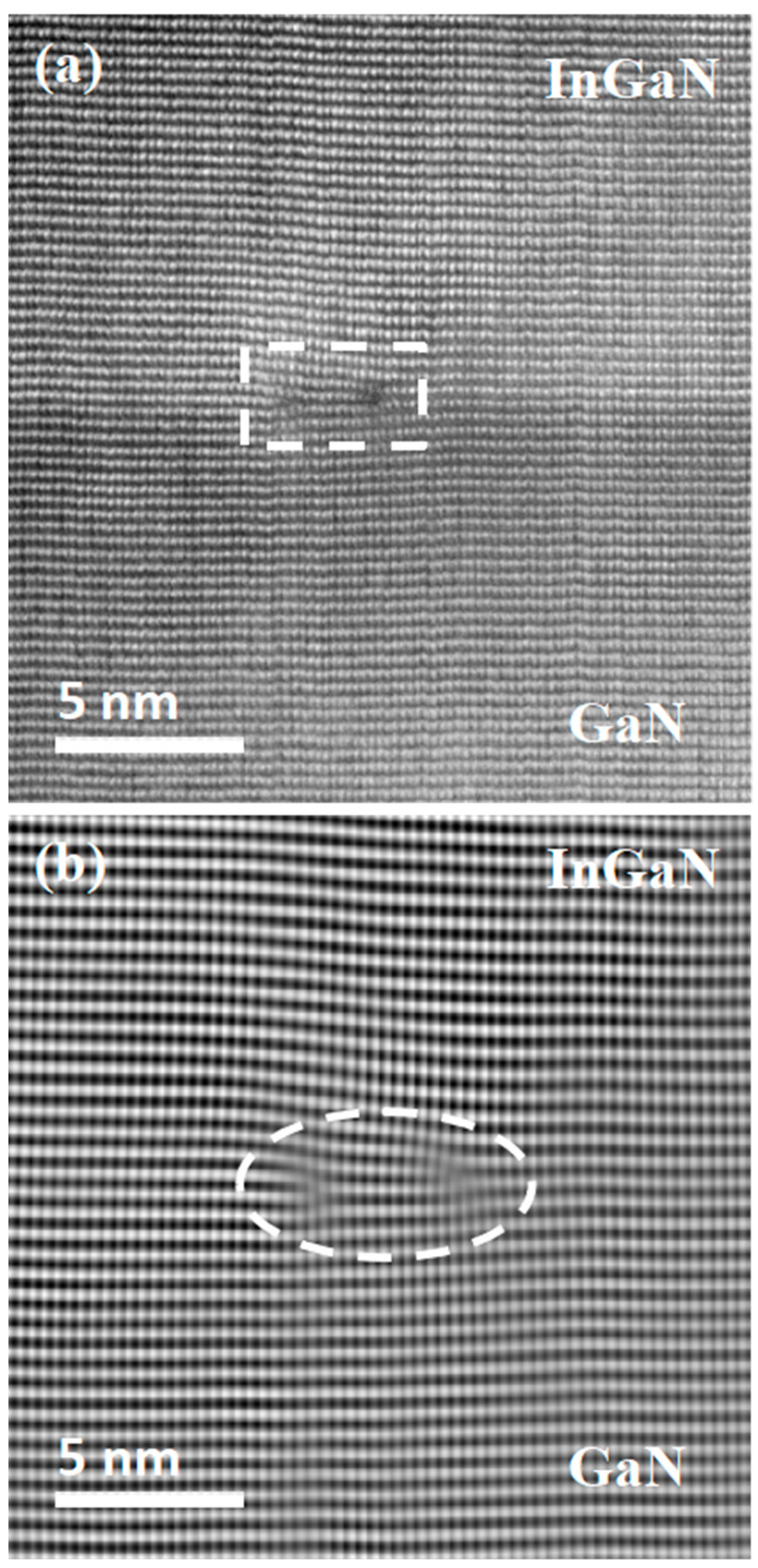 Preprints 74567 g005