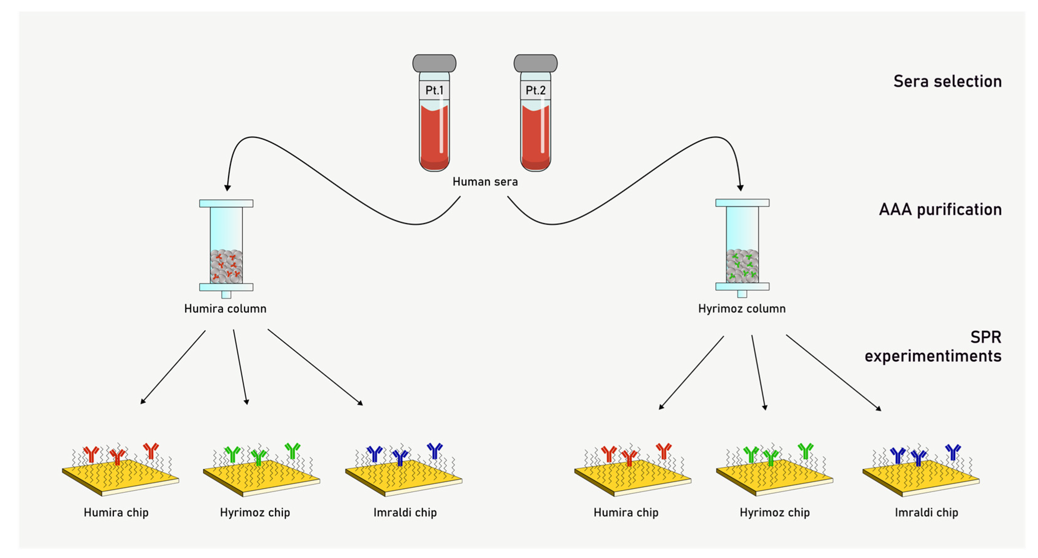 Preprints 153051 g002