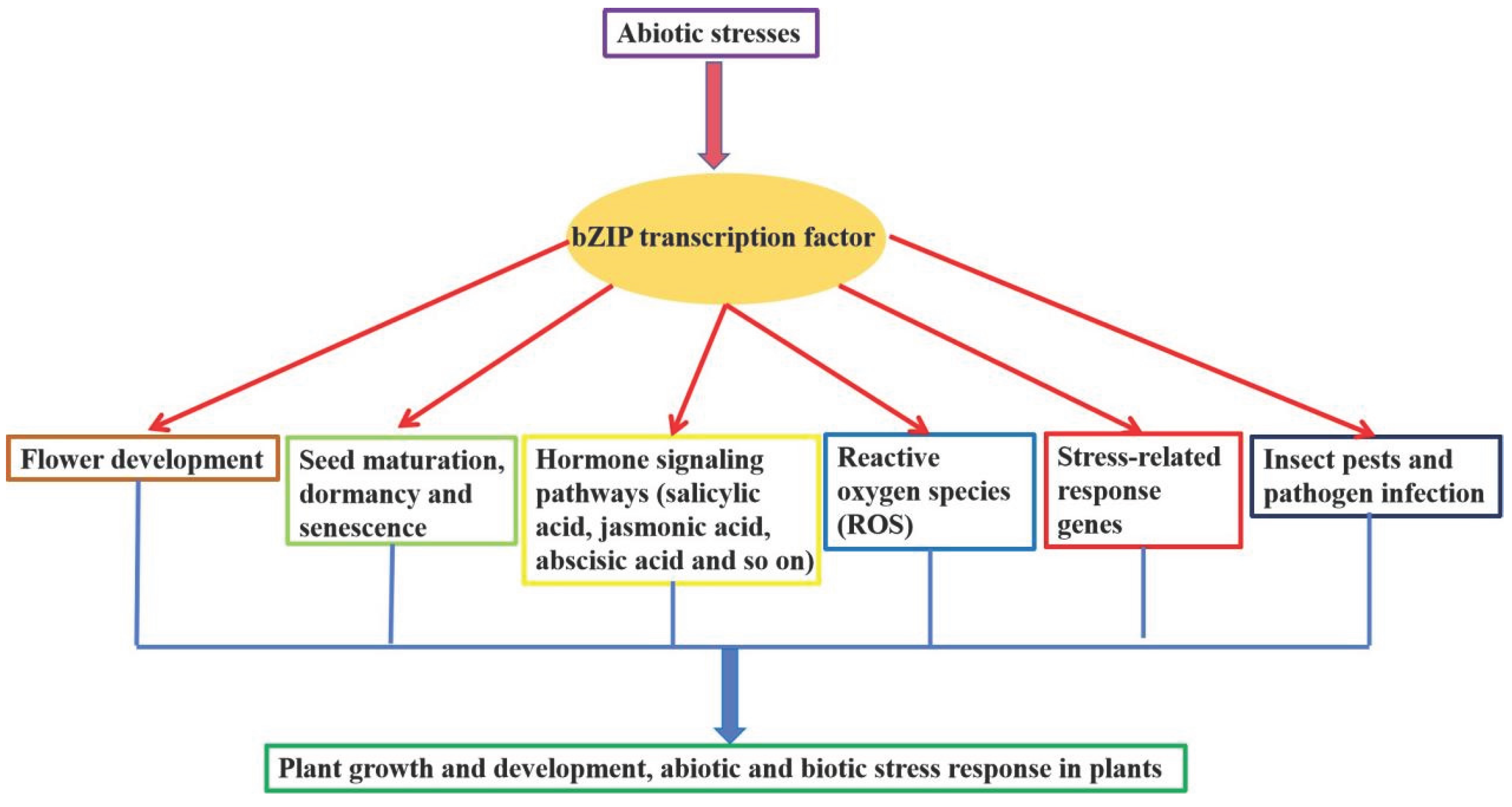 Preprints 173874 g001