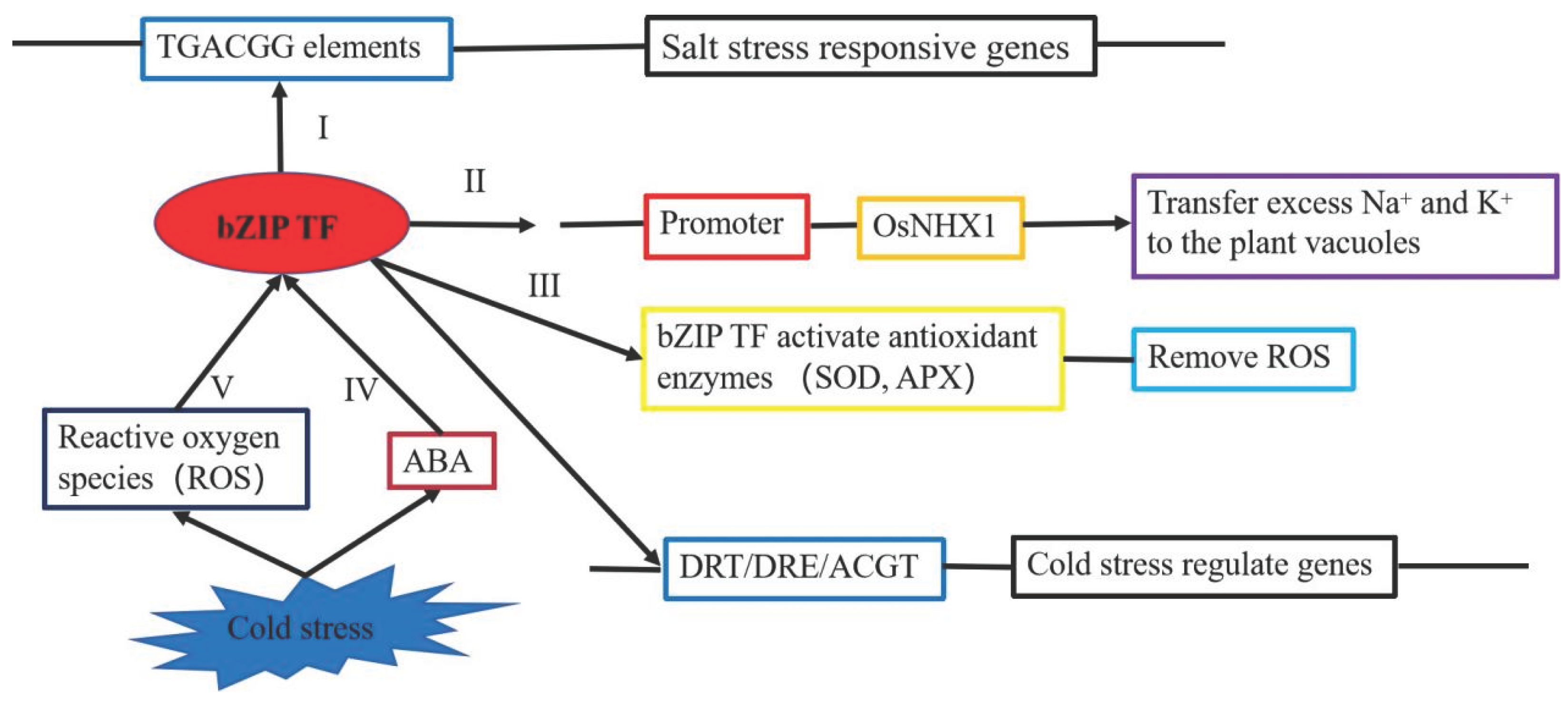 Preprints 173874 g005