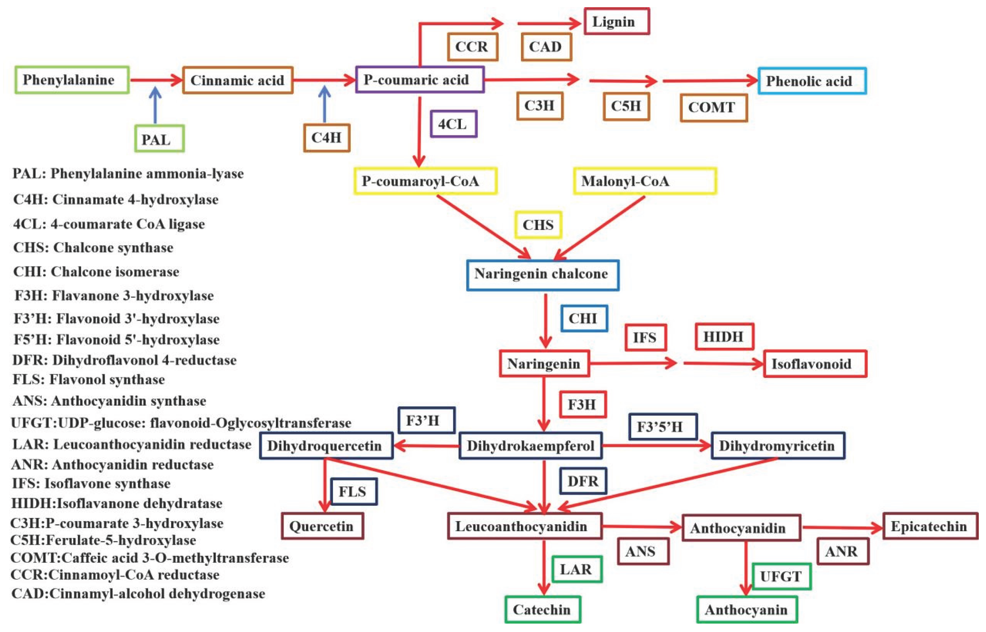 Preprints 173874 g006