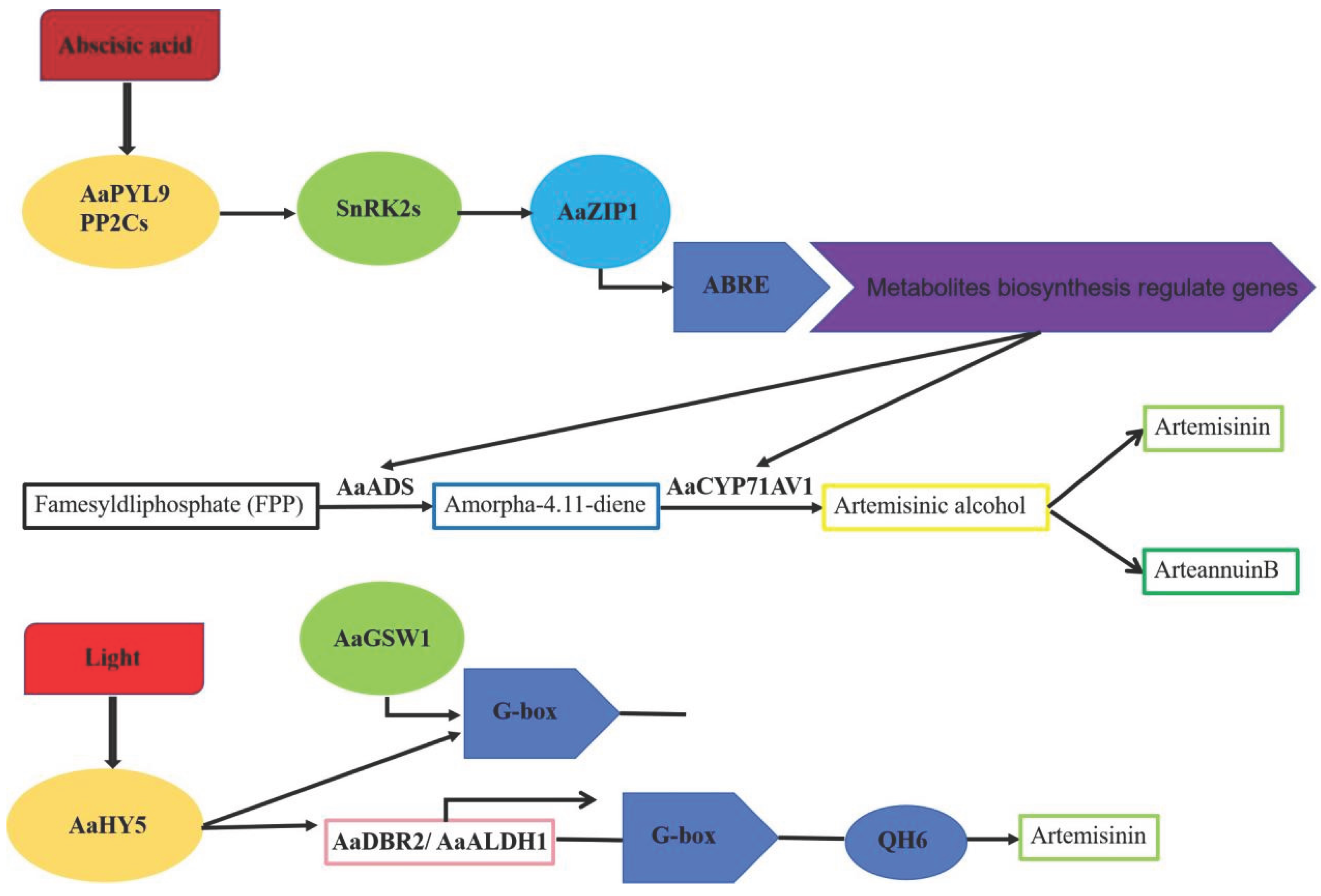 Preprints 173874 g007