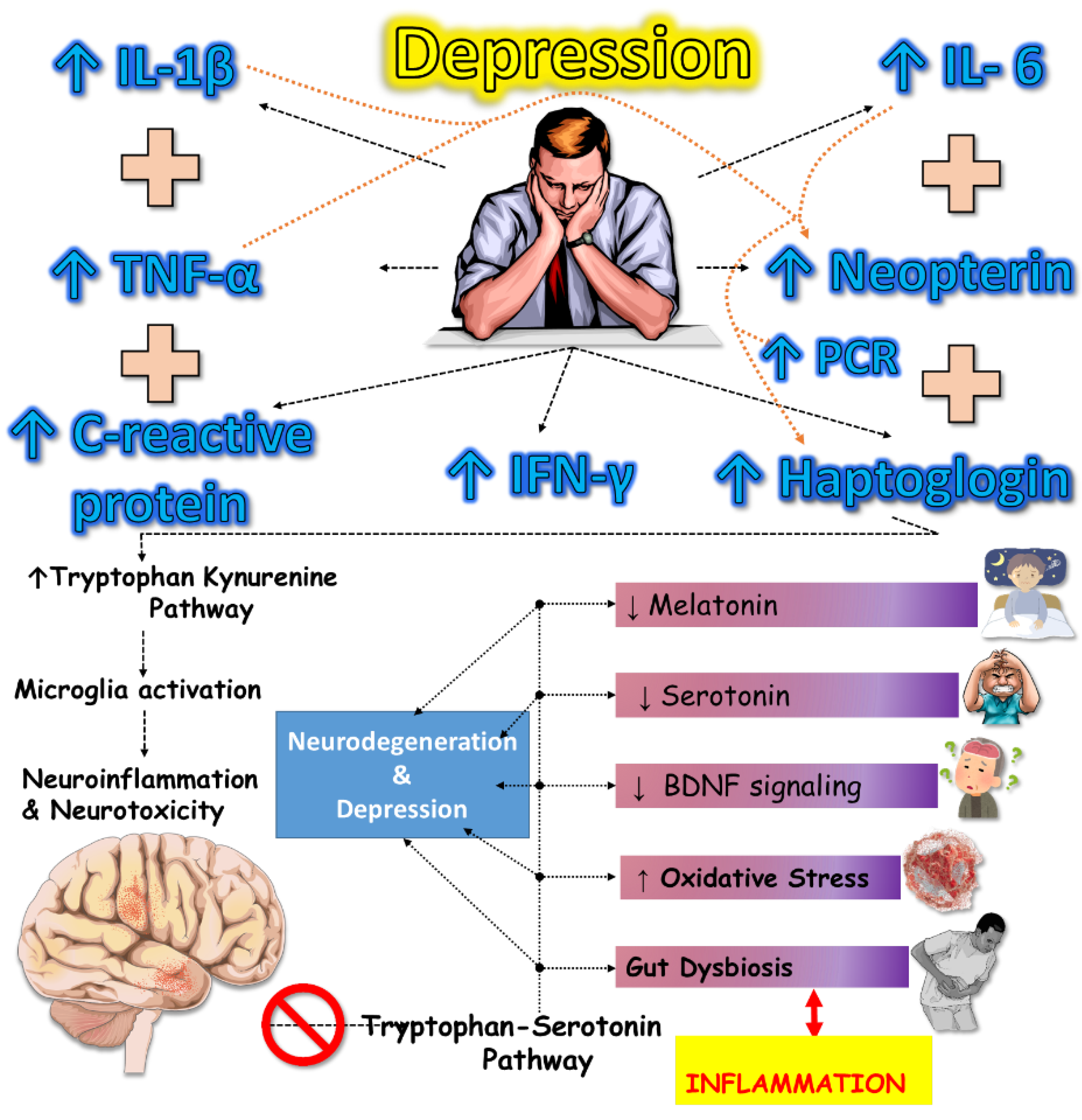Preprints 178349 g001