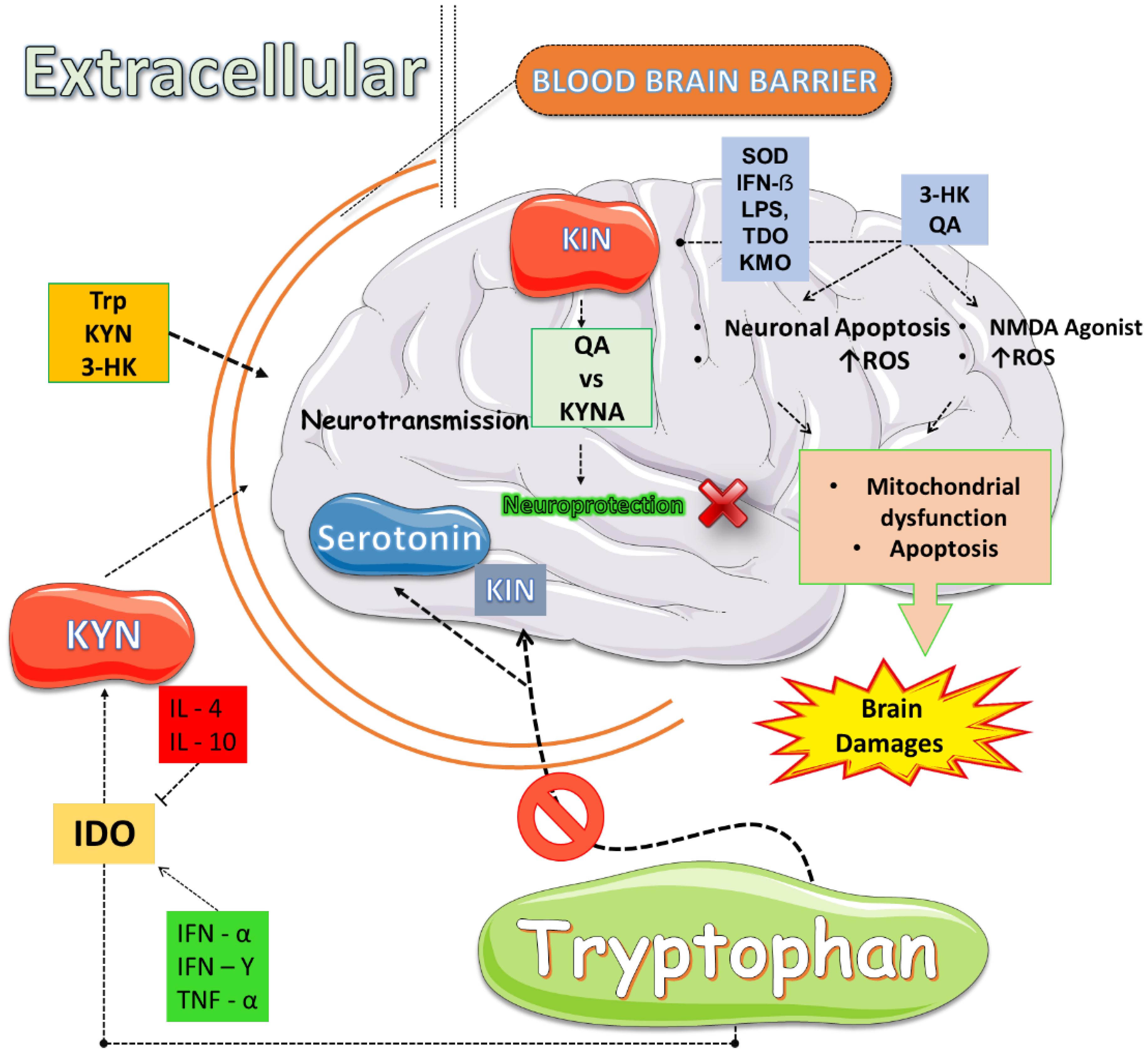 Preprints 178349 g002