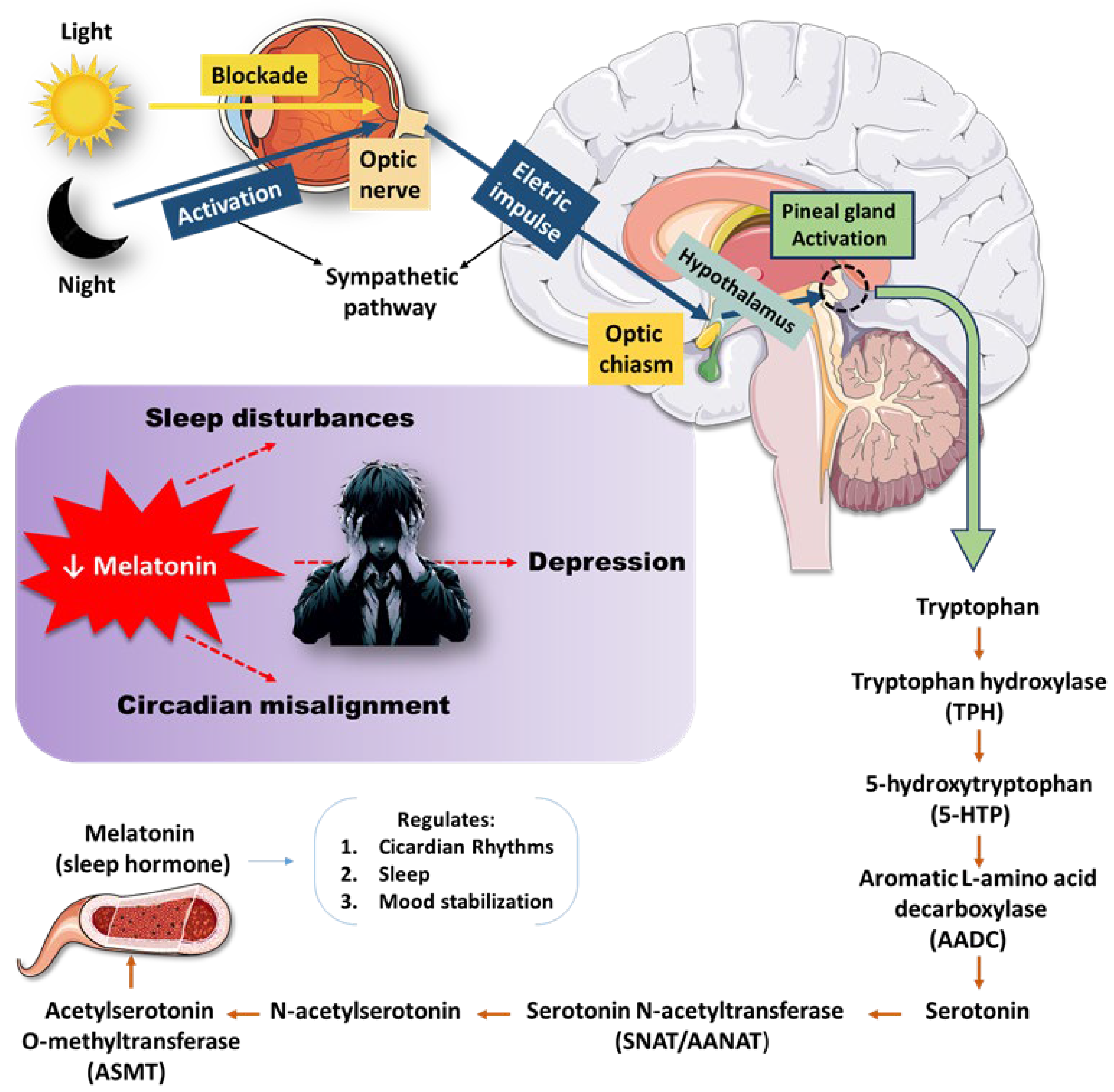 Preprints 178349 g003
