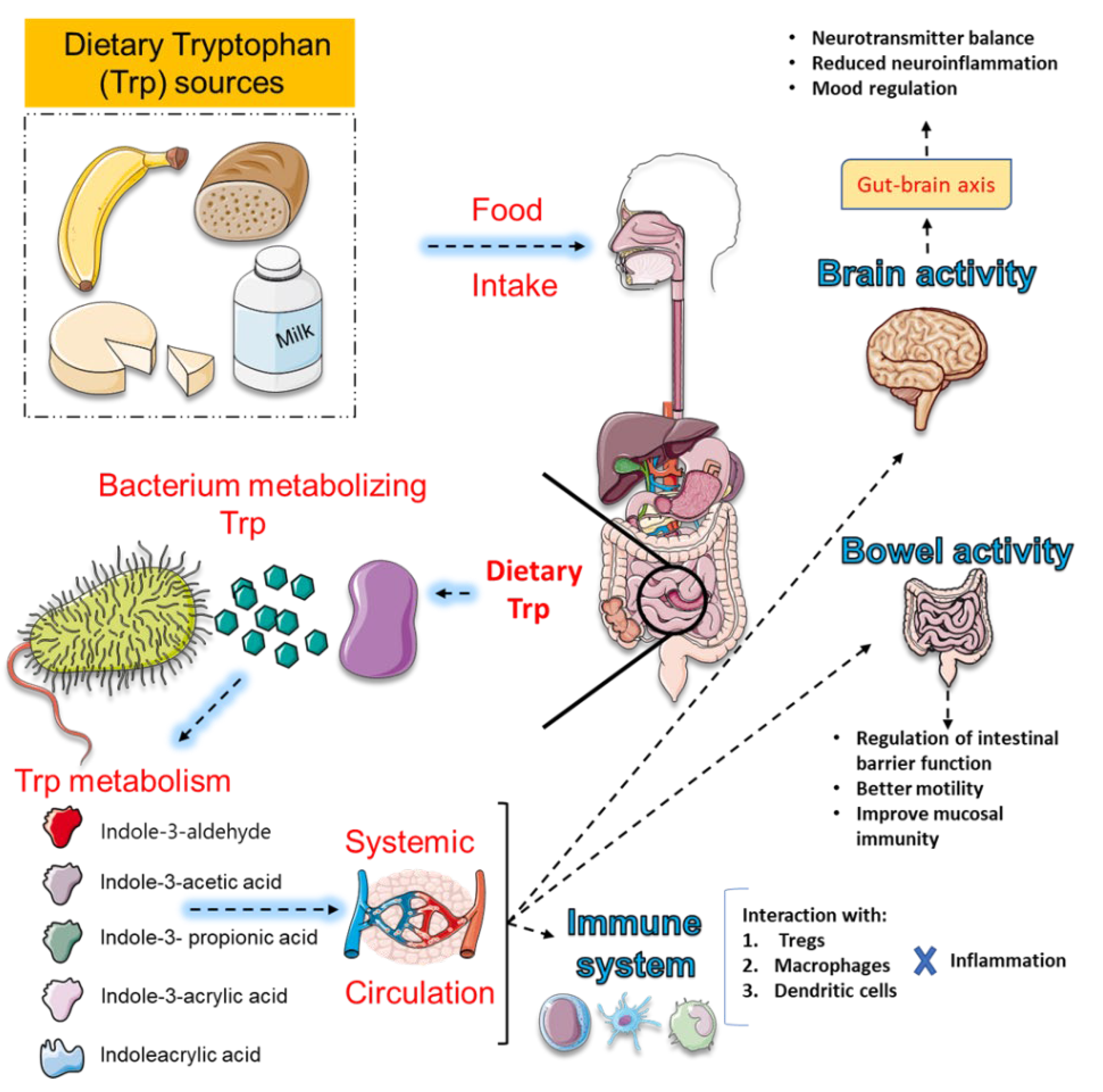 Preprints 178349 g004