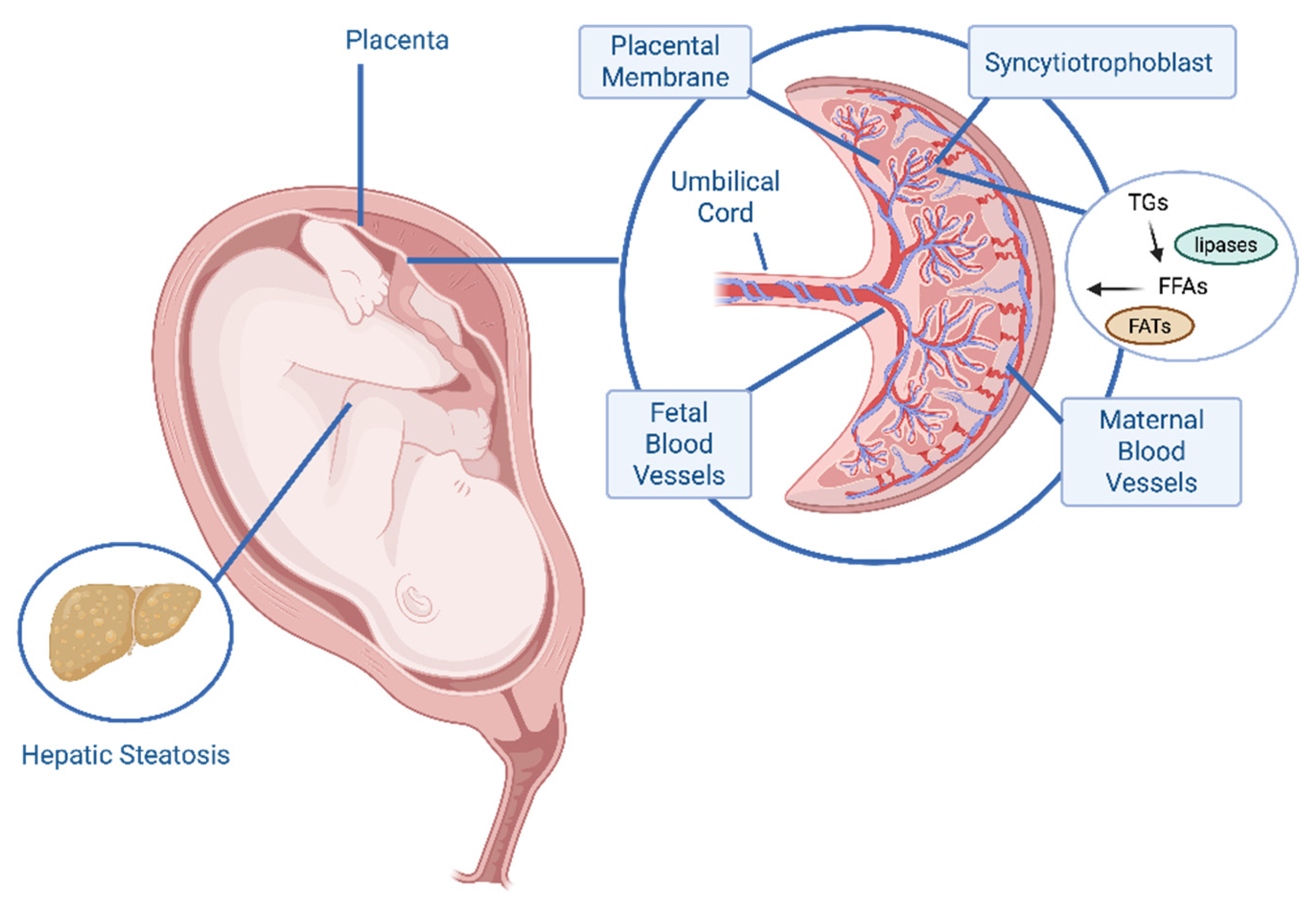 Preprints 185518 g001