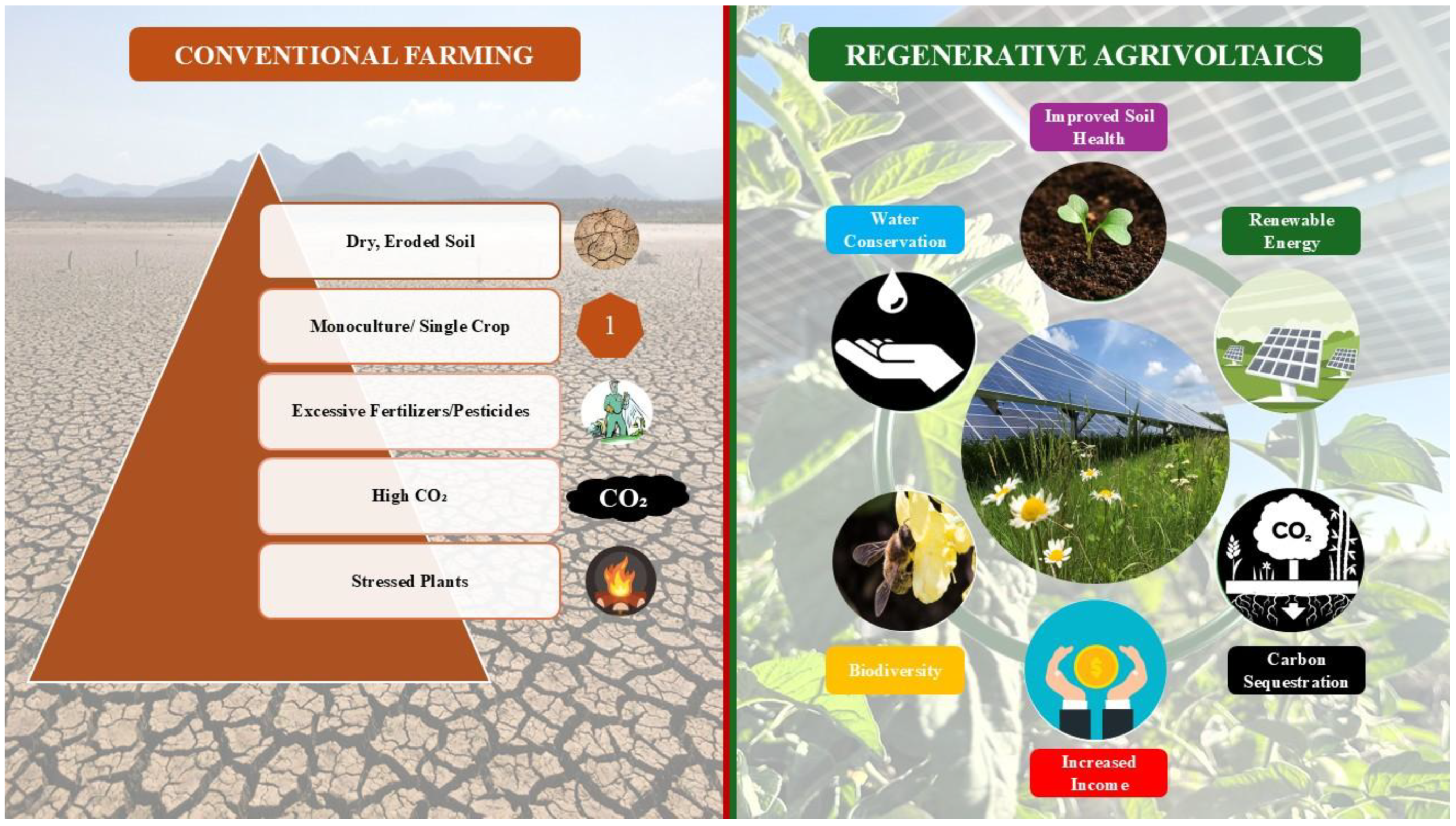 Preprints 156321 g001