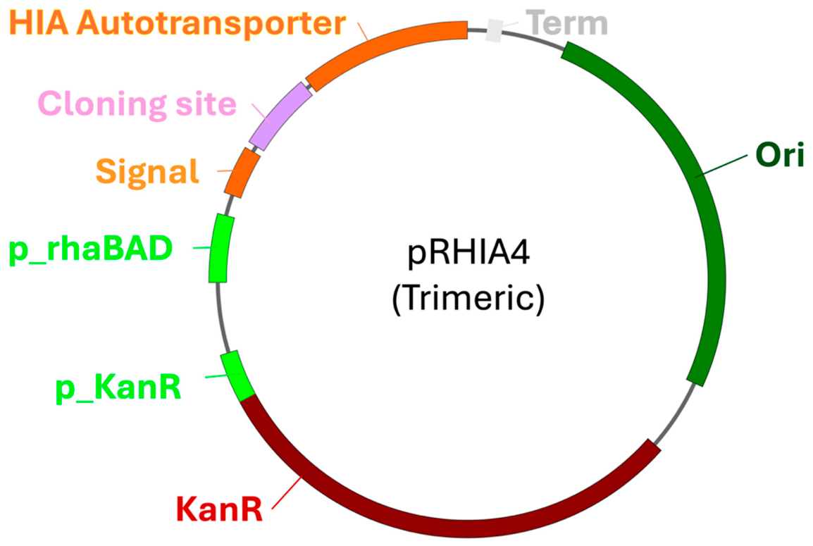 Preprints 217857 g001 Preprints 217857 g001