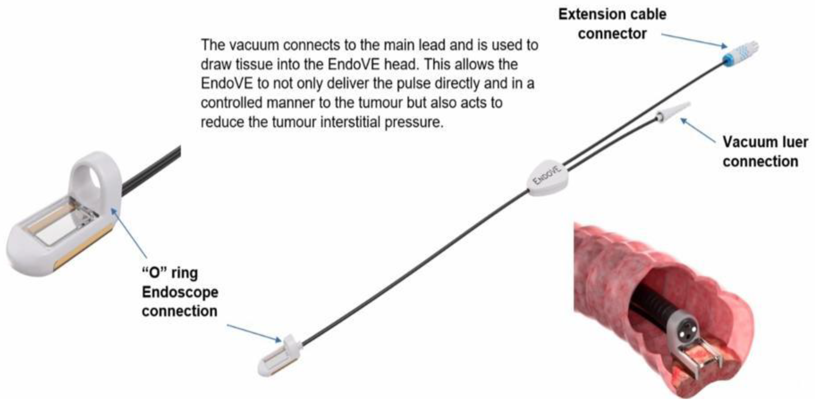 Preprints 178740 g003