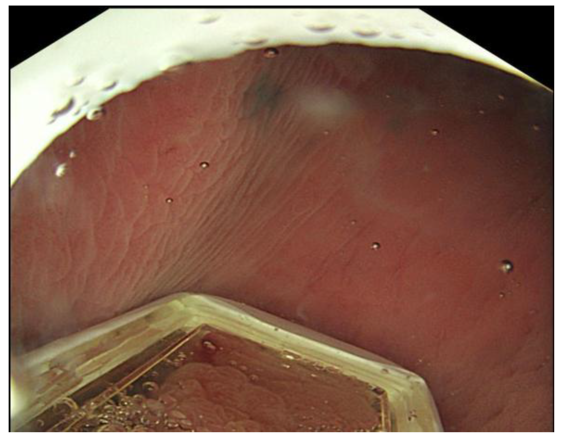 Preprints 178740 g006