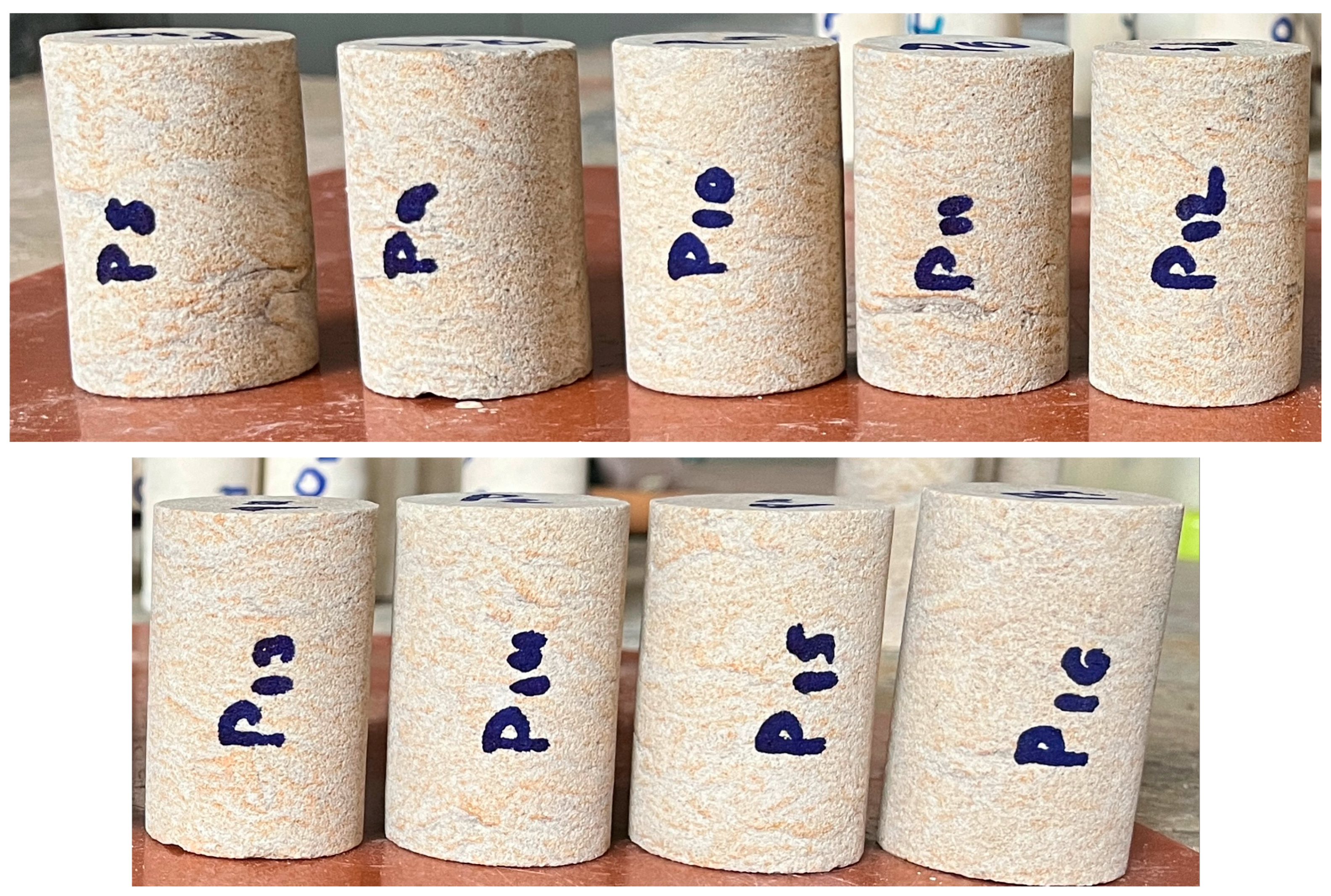 Preprints 162955 g003