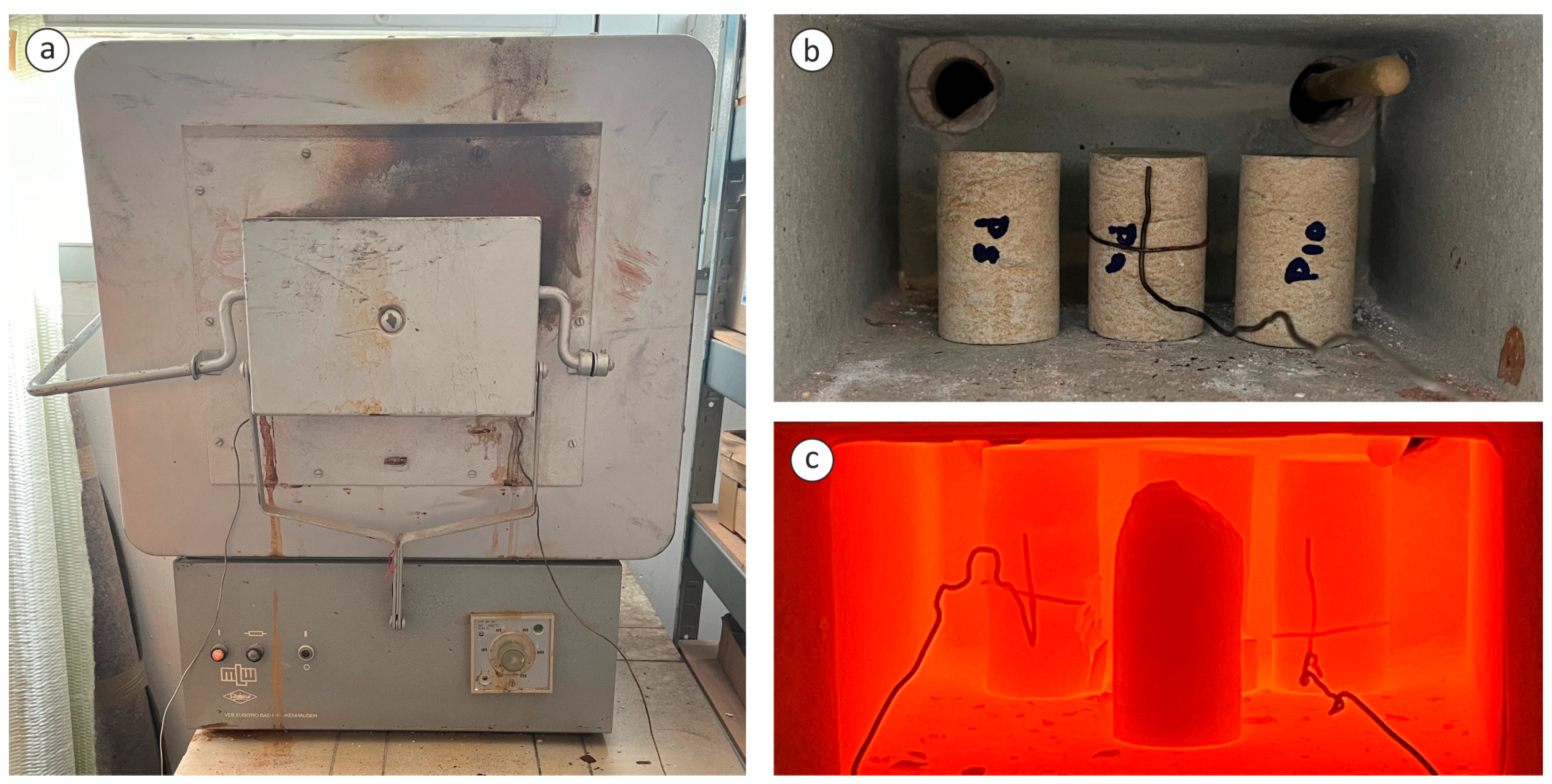 Preprints 162955 g005