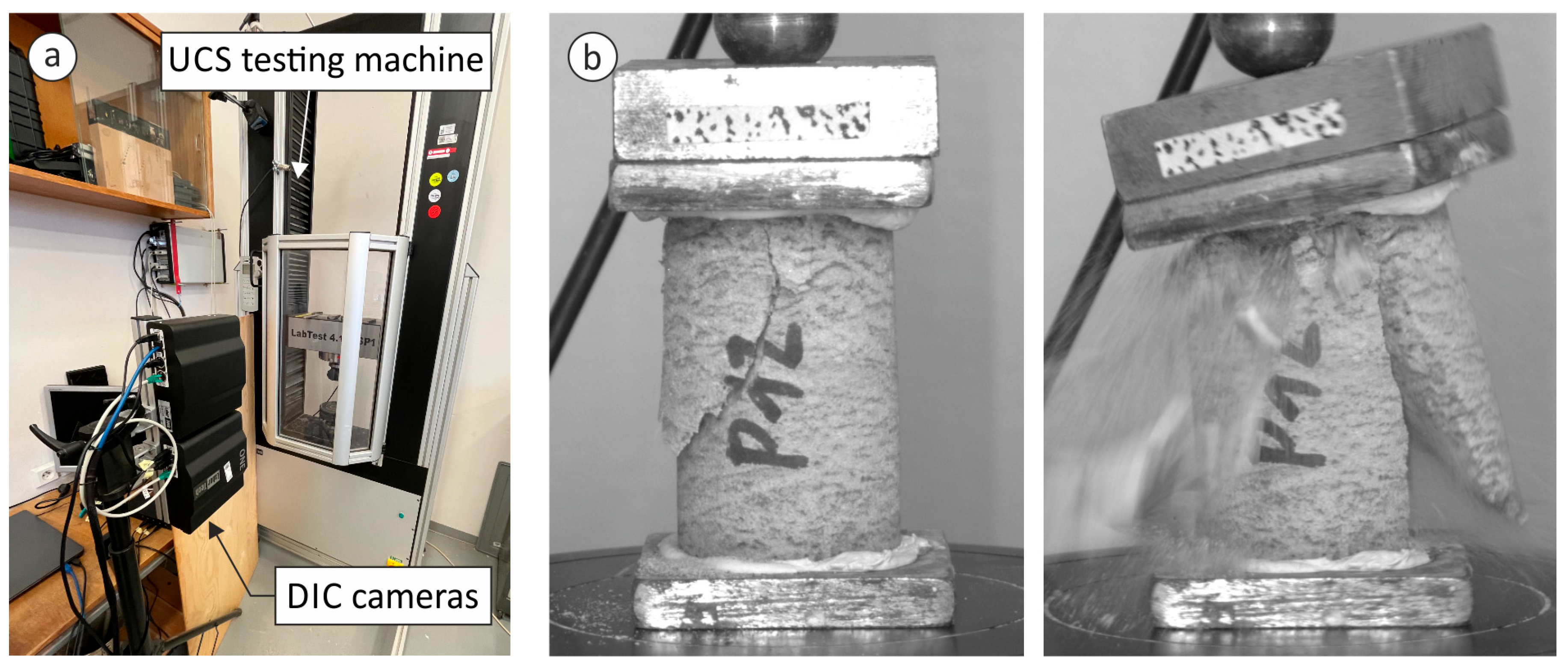 Preprints 162955 g007