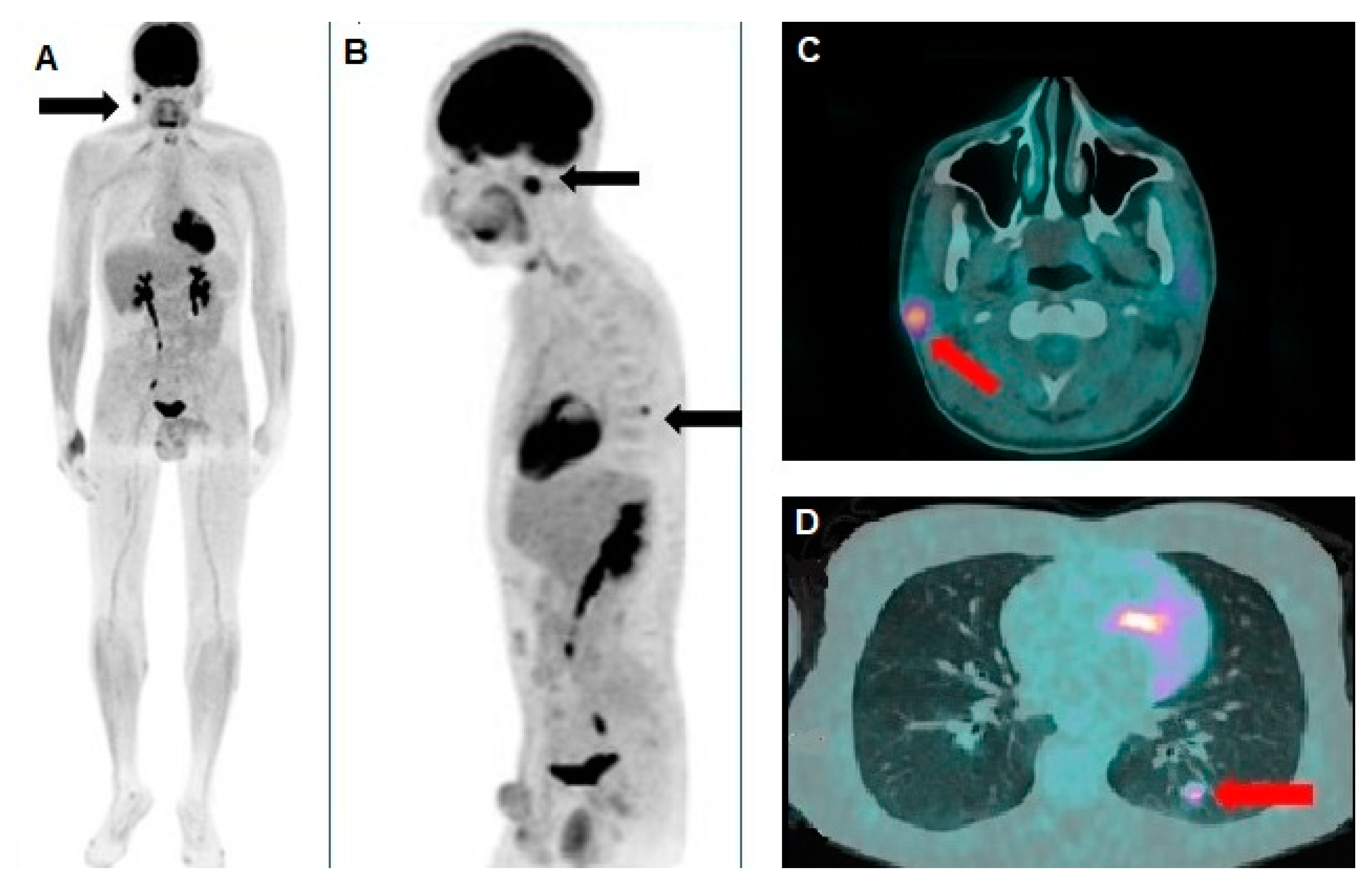 Preprints 152889 g002