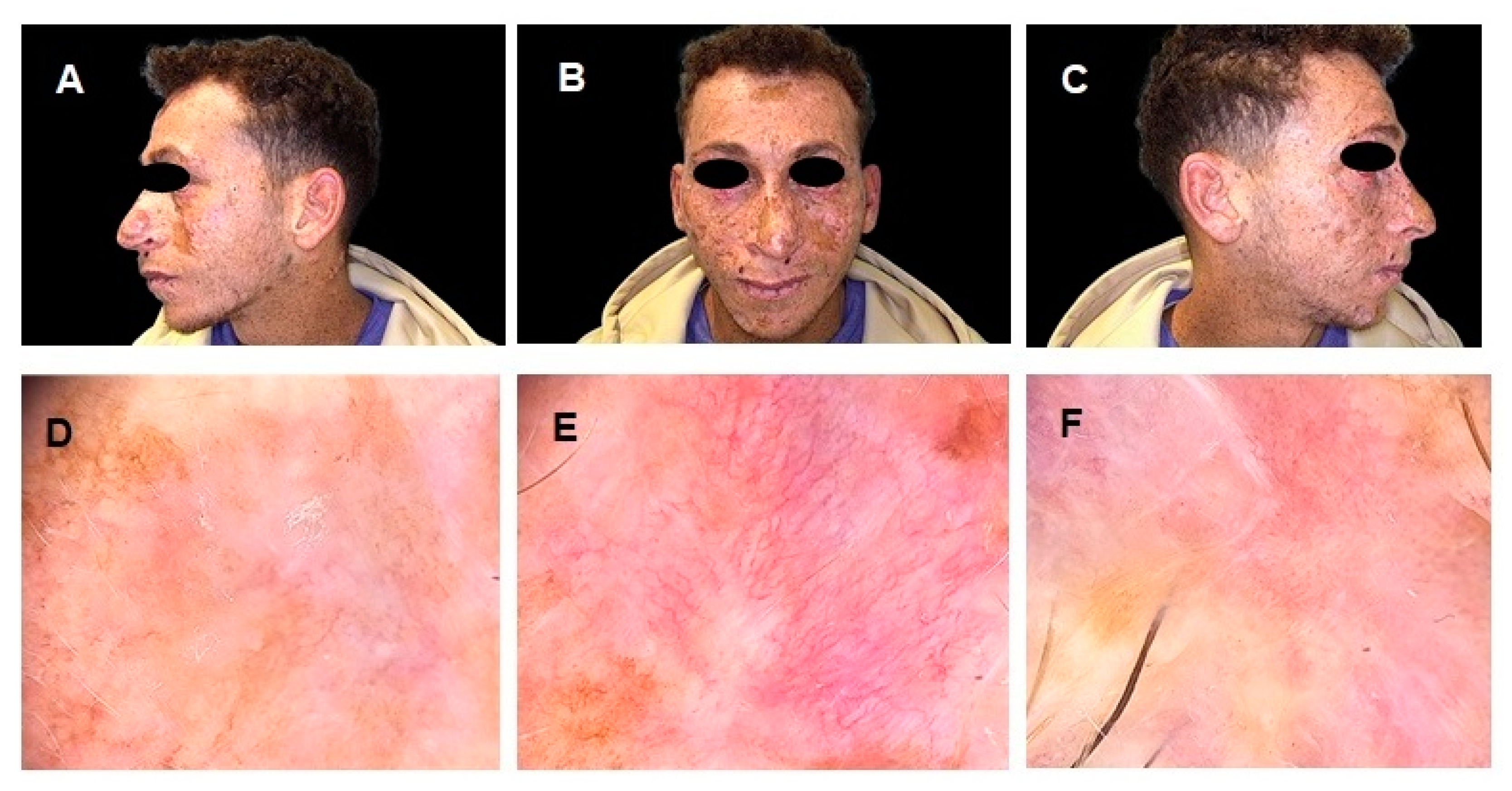 Preprints 152889 g003