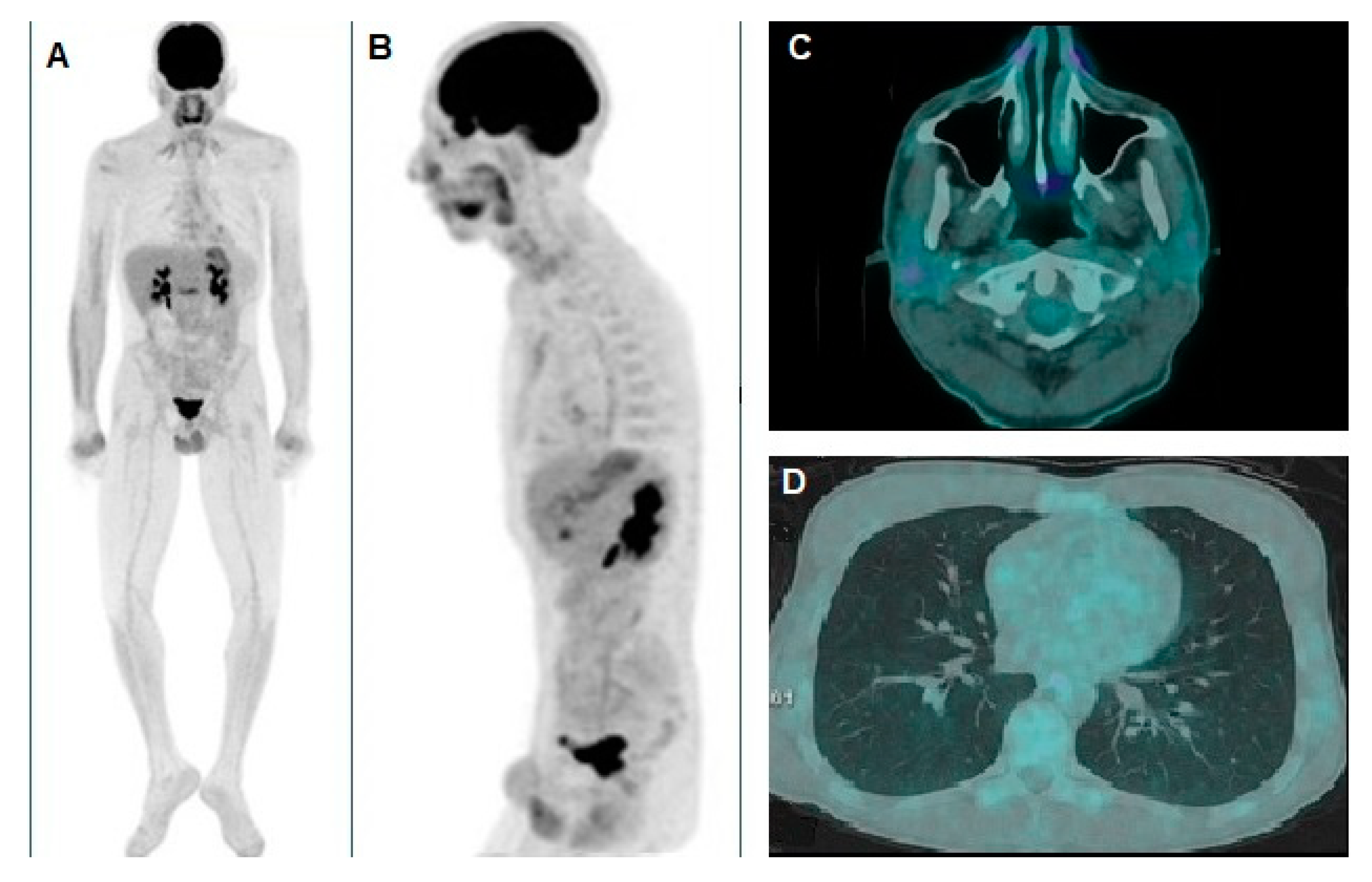 Preprints 152889 g004