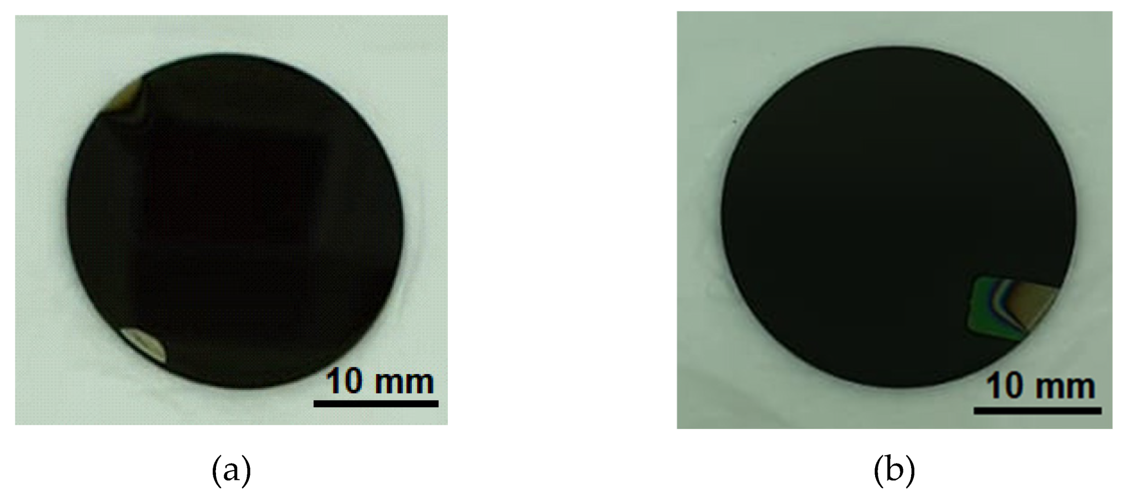 Preprints 115851 g001