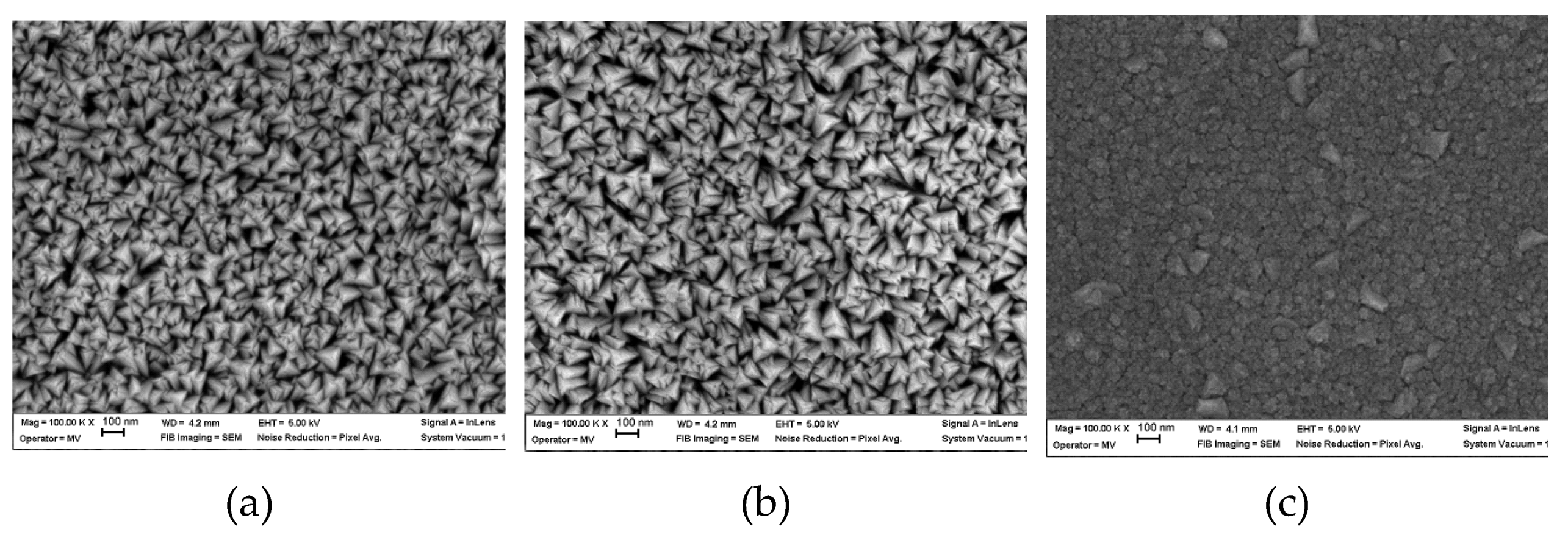Preprints 115851 g002