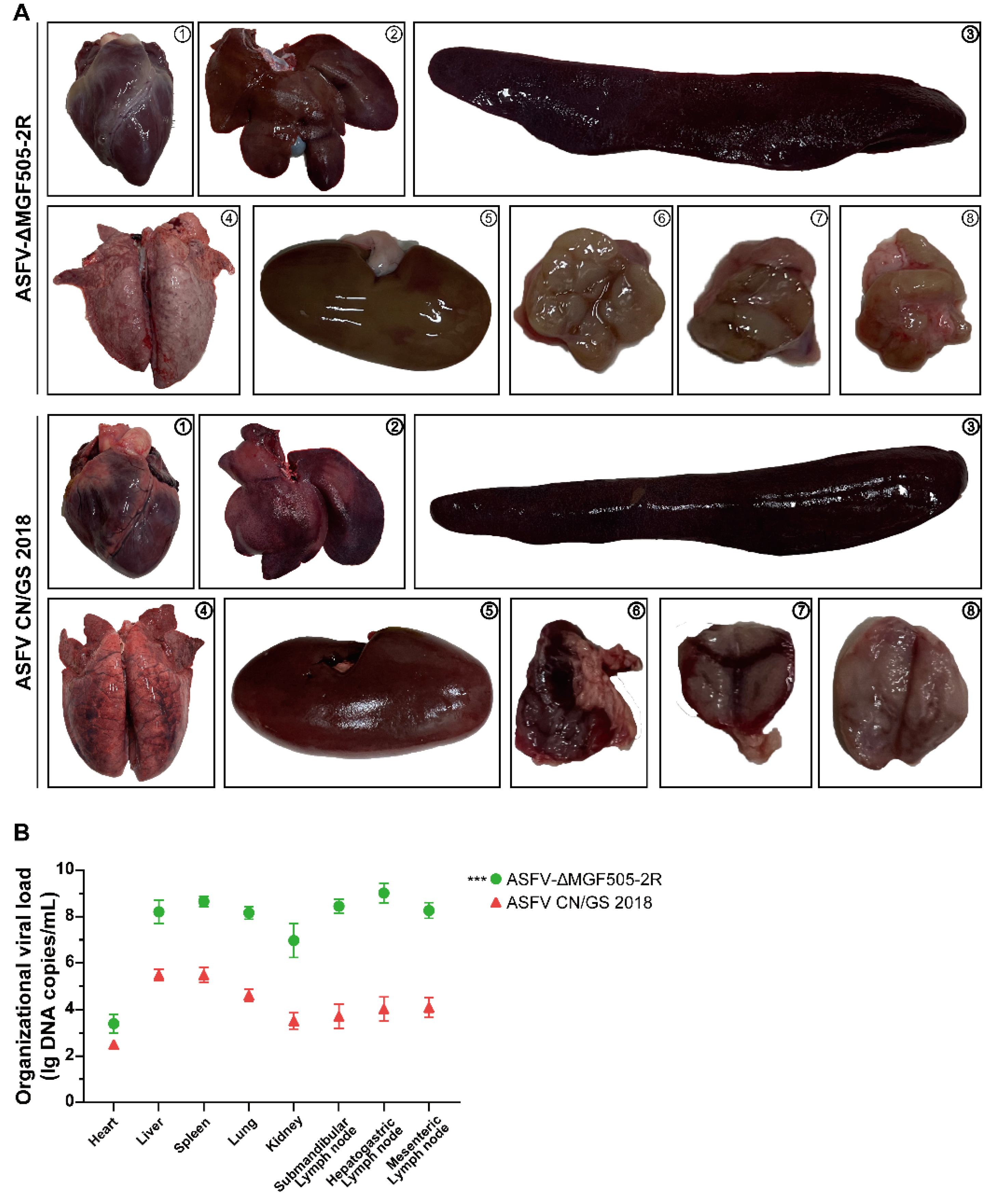 Preprints 178001 g002