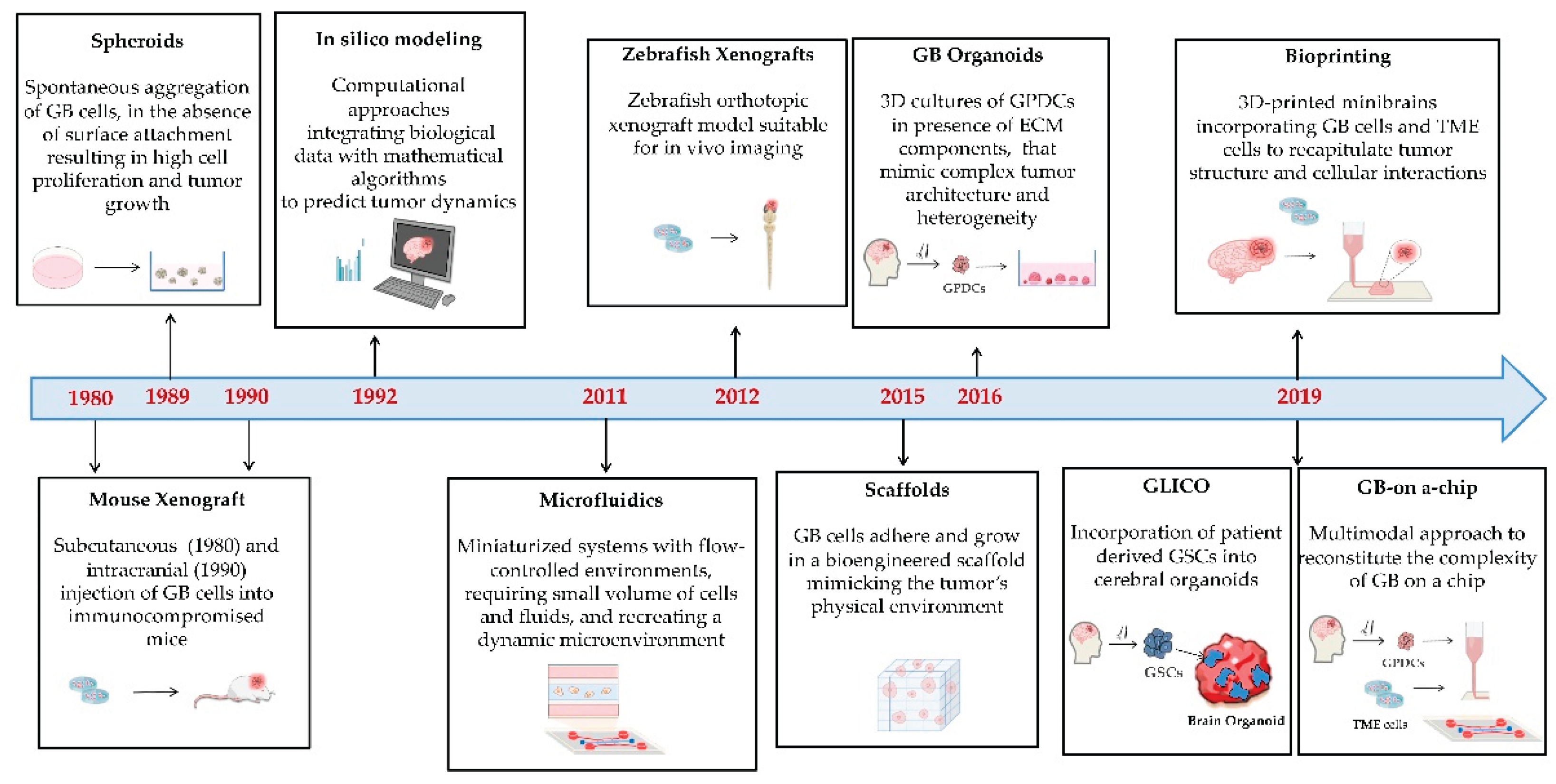 Preprints 173605 g005
