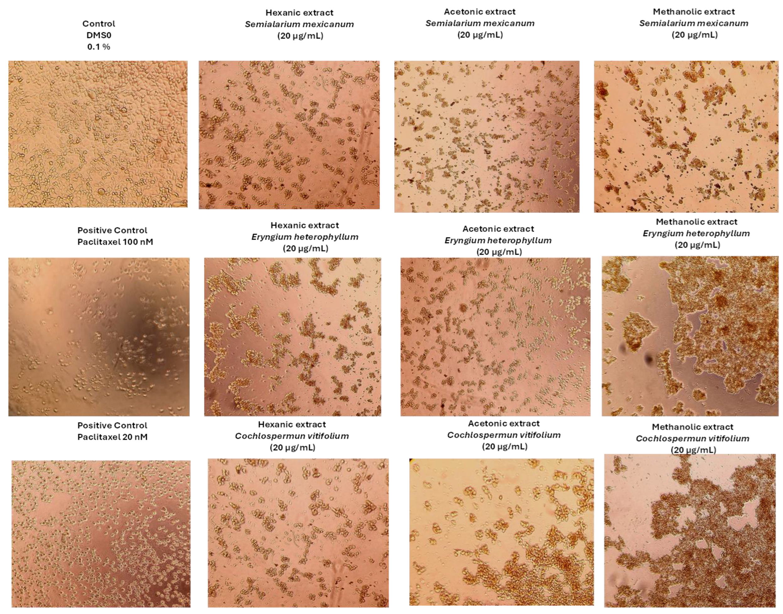 Preprints 193515 g006