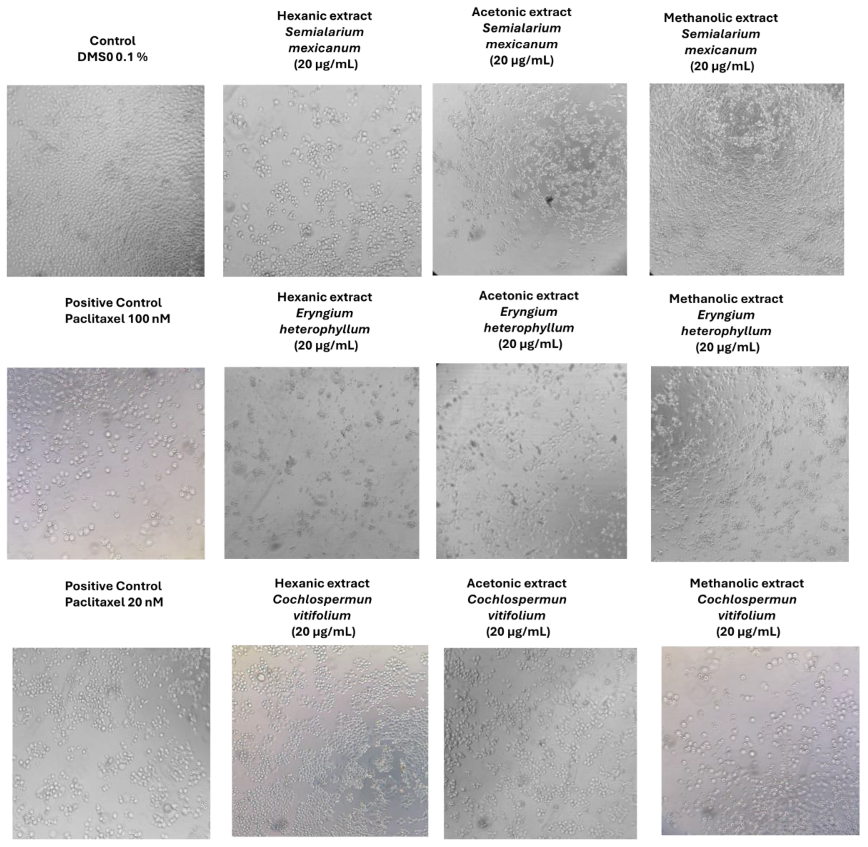 Preprints 193515 g007