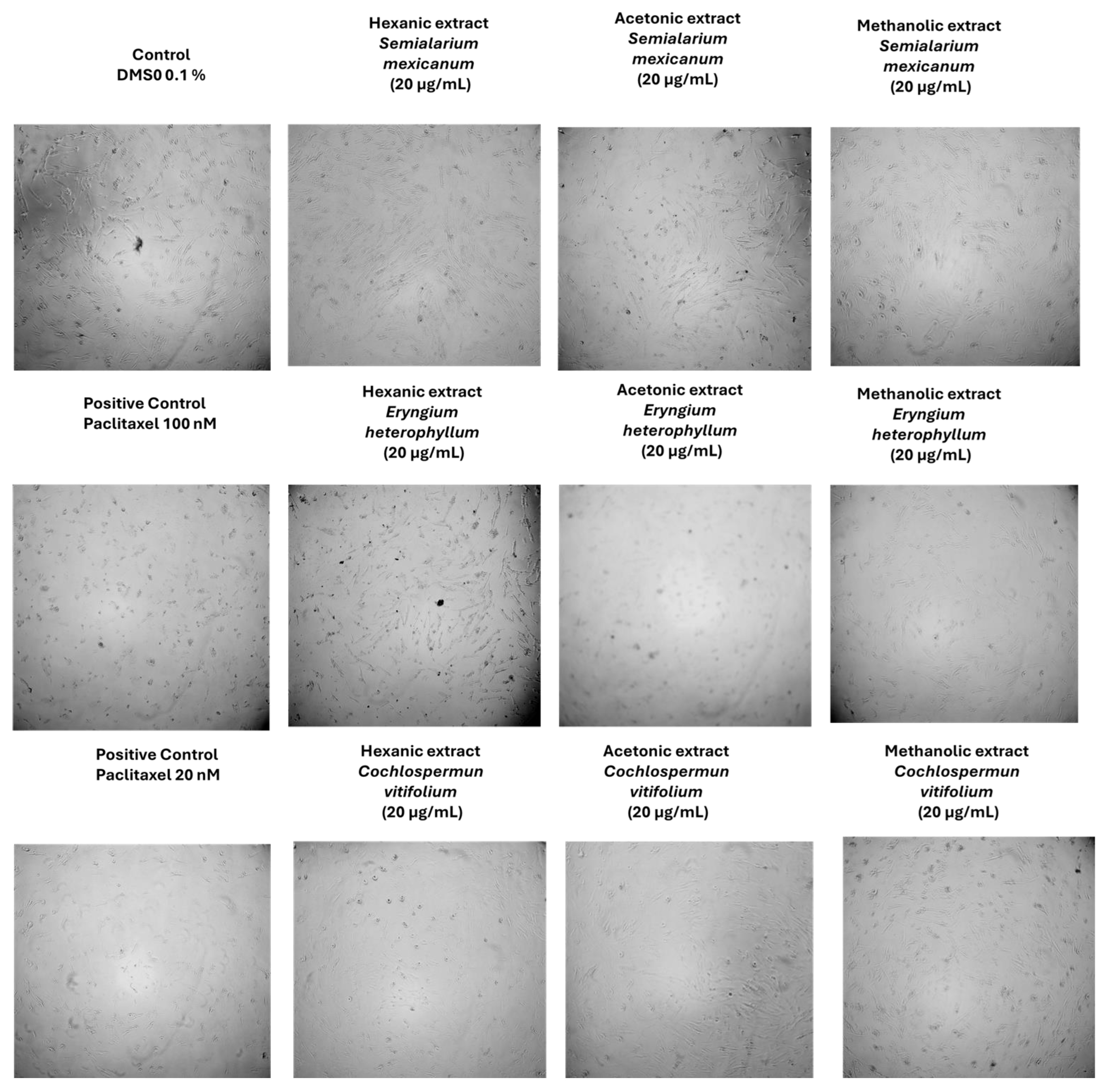 Preprints 193515 g008