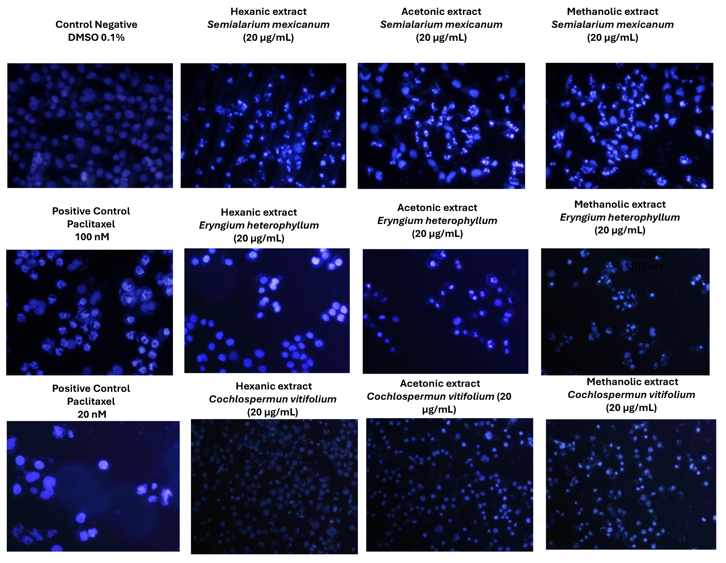 Preprints 193515 g010