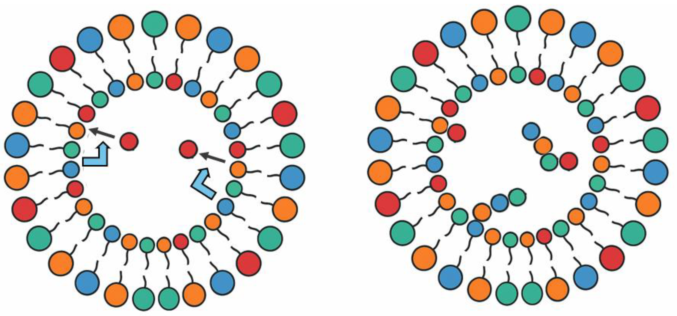 Preprints 187123 g006