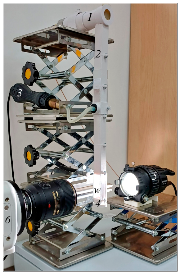 Preprints 209530 g001